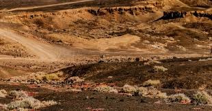 意大利博彩市场2025年在线占比升至68%