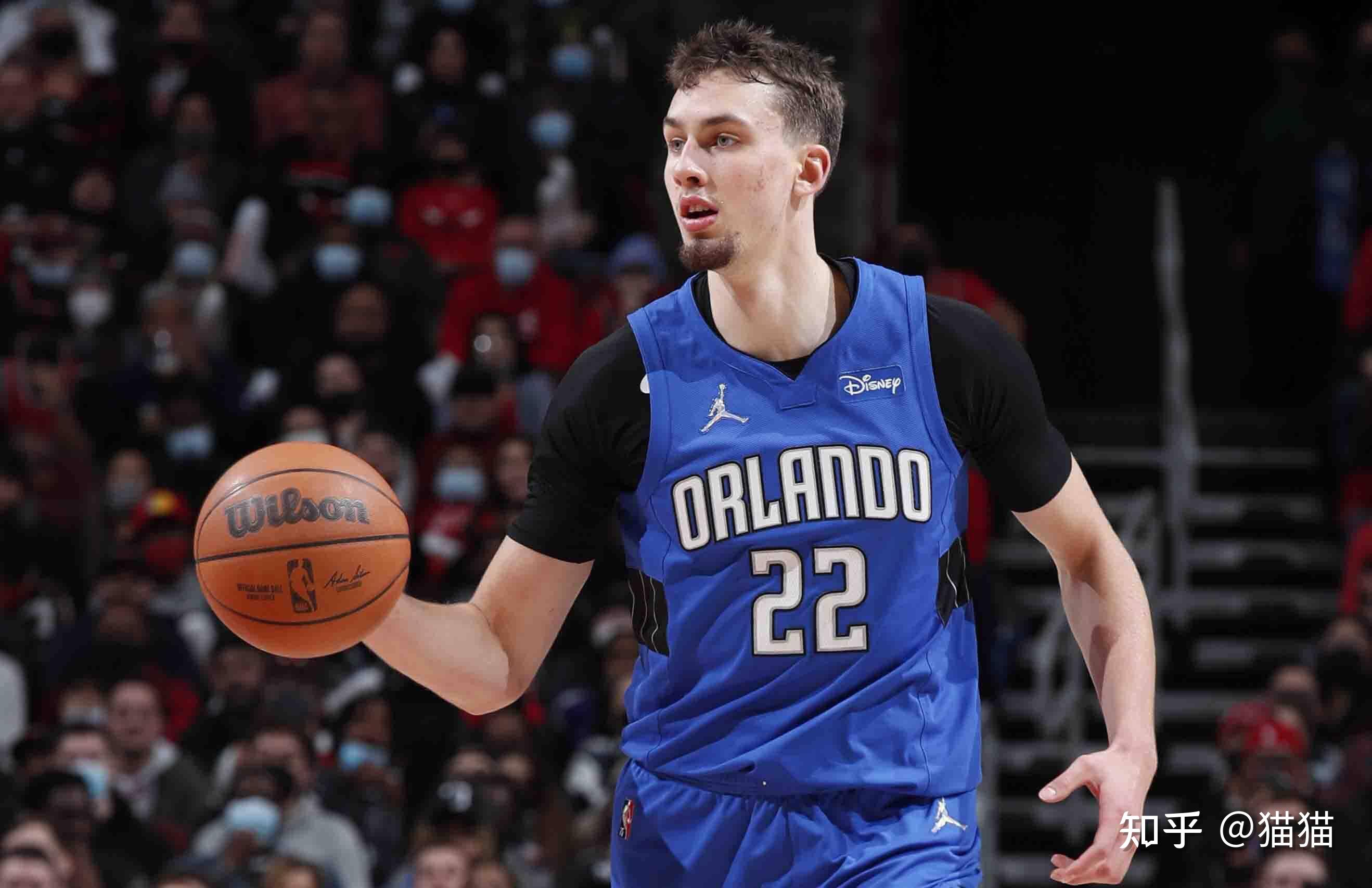 职业生涯的 职业生涯的